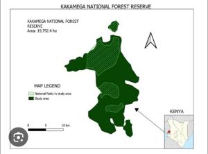 The map of Kakamega forest reserve
